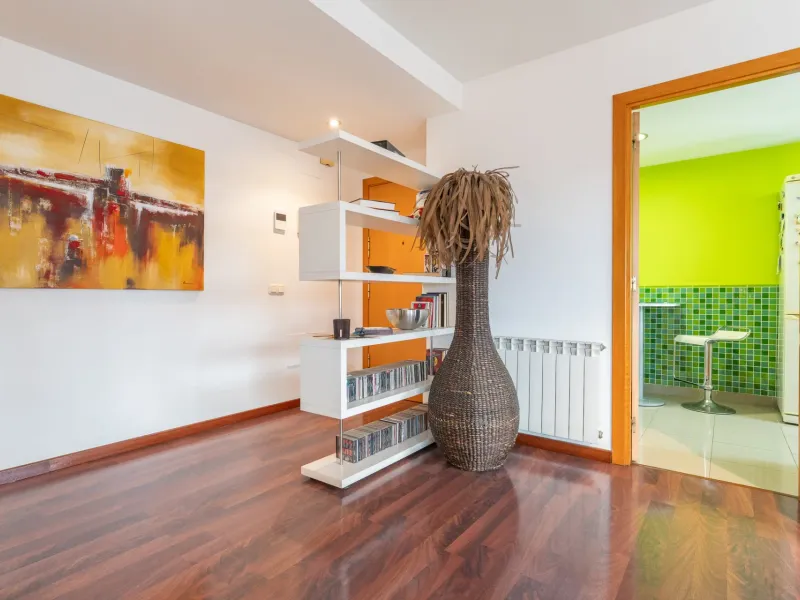 PAISOS CATALANS (DELS)