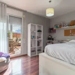 PAISOS CATALANS (DELS) 16