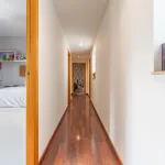 PAISOS CATALANS (DELS) 20