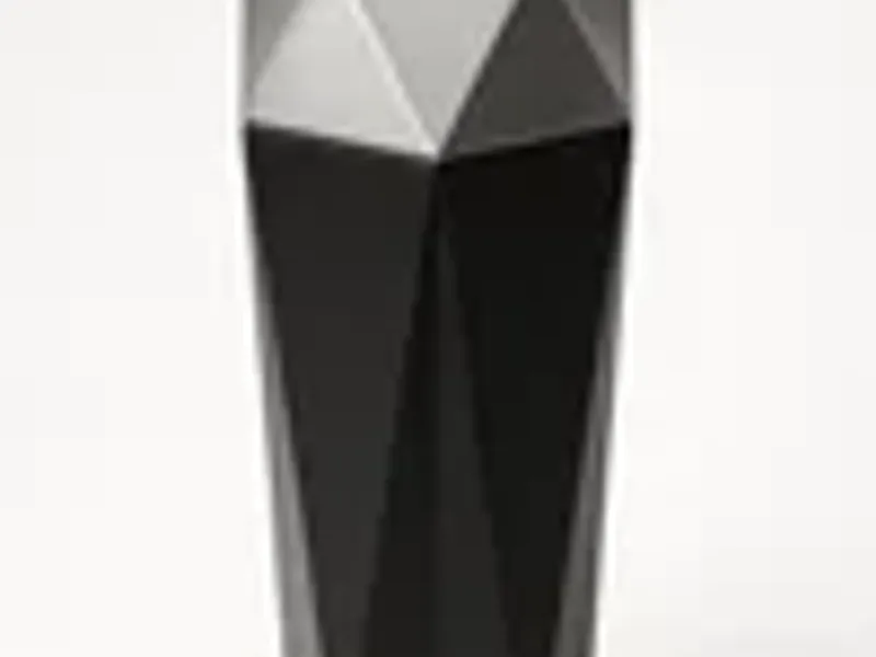 Smart Car Trash & Storage Organizer