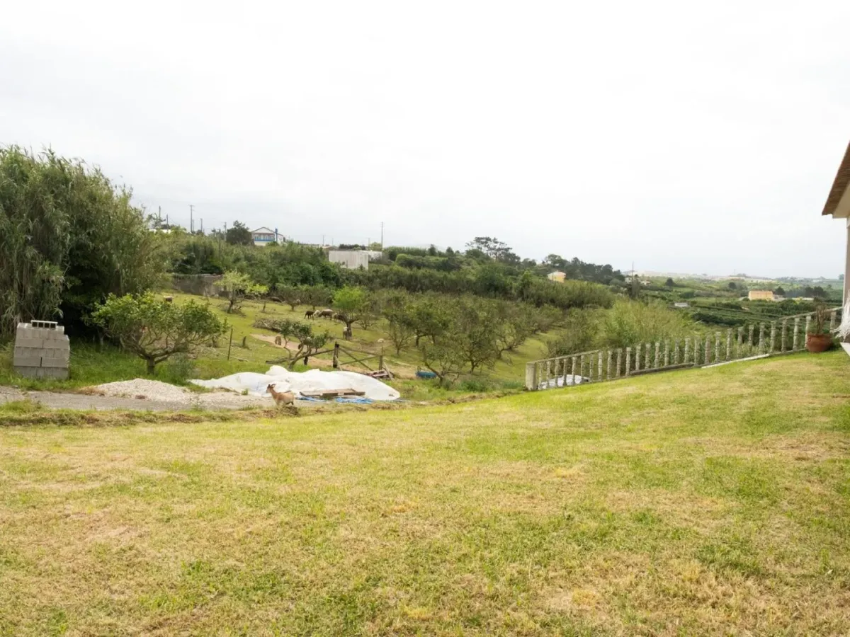 Quinta com T3+1 em Sobreiro