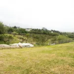 Quinta com T3+1 em Sobreiro 7