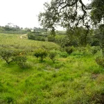 Quinta com T3+1 em Sobreiro 17