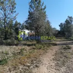 Quinta para venda, Ladoeiro 2