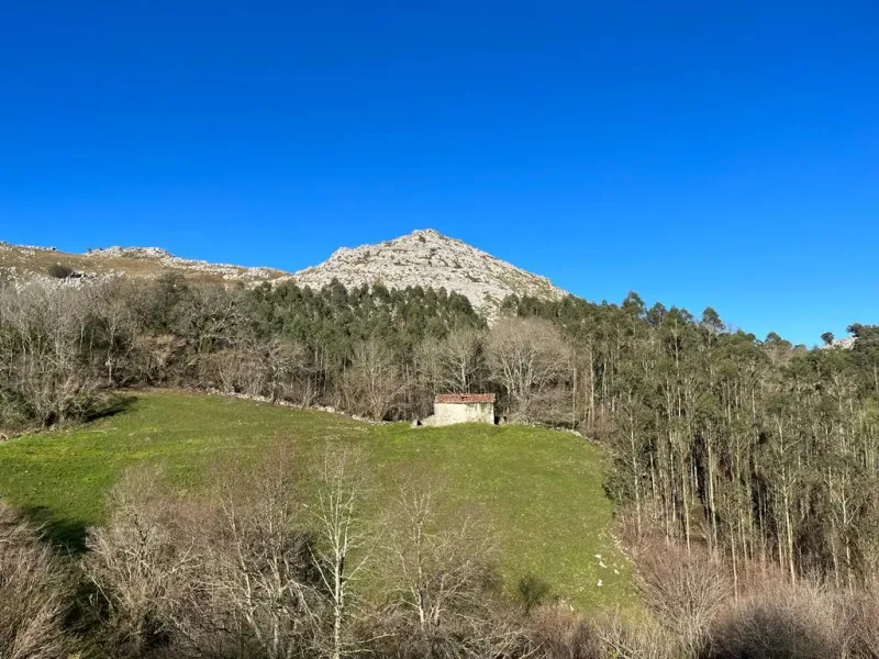 SE VENDE TERRENO RÚSTICO CON POSIBILIDAD DE CONVERTIRLO EN TERRENO URBANIZBLE EN LIÉRGANES