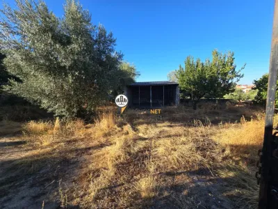 Terreno para Venda, Tinalhas, Castelo Branco