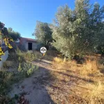 Terreno para Venda, Tinalhas, Castelo Branco 4