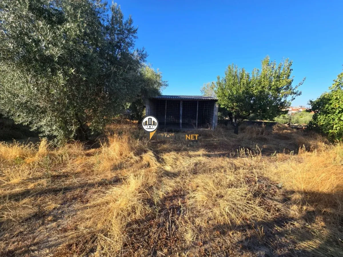 Terreno para Venda, Tinalhas, Castelo Branco