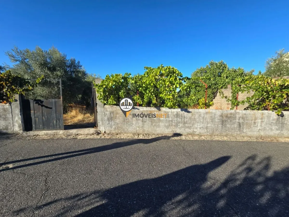 Terreno para Venda, Tinalhas, Castelo Branco