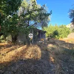 Terreno para Venda, Tinalhas, Castelo Branco 10