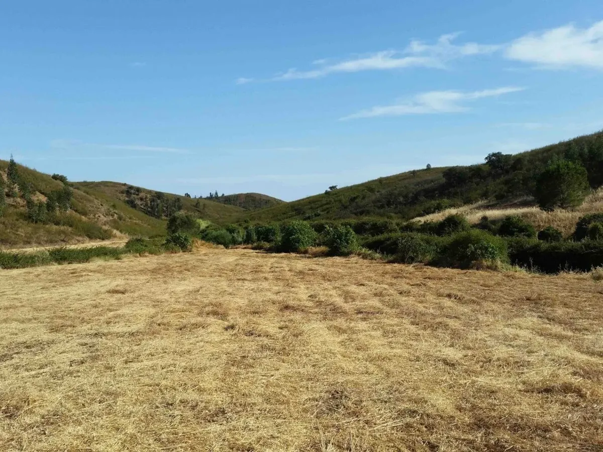 Terreno em Portimão