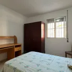 Cerca universidad 10