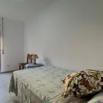 Cerca universidad 16