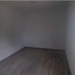 Monte Alentejano todo NOVO 8