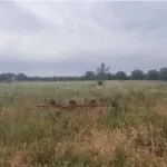 Monte Alentejano todo NOVO 15