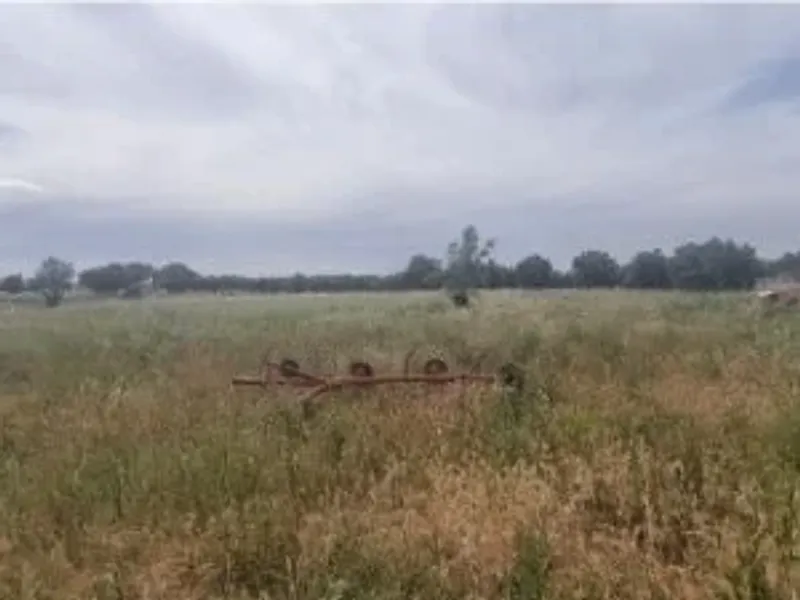 Monte Alentejano todo NOVO