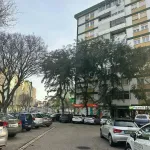 Acolhedor T1 na Sobreda em excelente estado de conservação e localização privilegiada 3