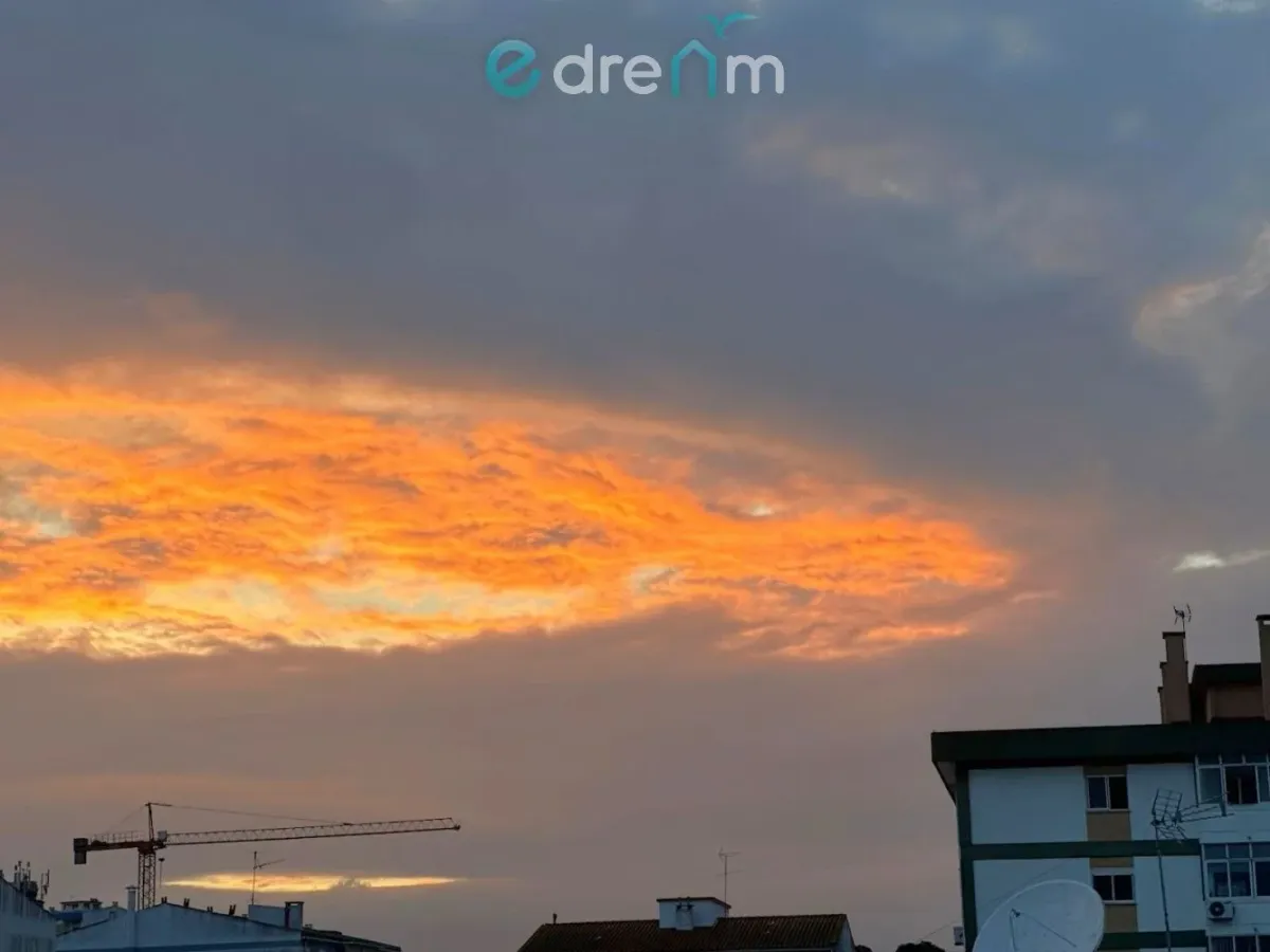 Acolhedor T1 na Sobreda em excelente estado de conservação e localização privilegiada