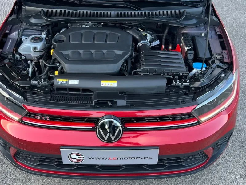 VOLKSWAGEN POLO 2.0 TSI GTI DSG
