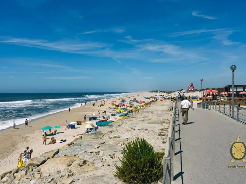 Lote de Terreno para moradia isolada - Gafanha da Vagueira