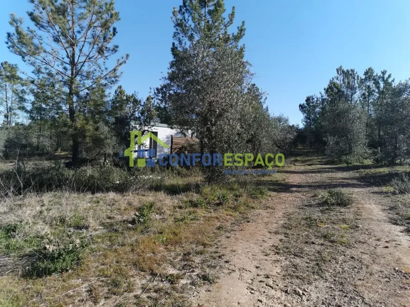 Quinta para venda, Ladoeiro