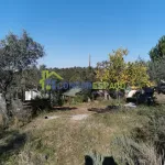 Quinta para venda, Ladoeiro 3