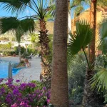 2 Dormitorios Apartamento de Lujo Palm Mar 7