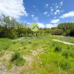 Terreno rústico en venta en El Burgo de Osma 2