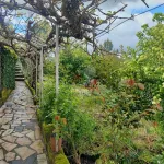 Casa da Bela Vista 4