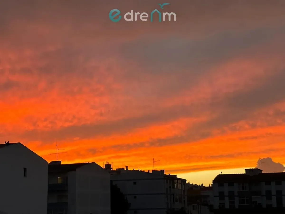 Acolhedor T1 na Sobreda em excelente estado de conservação e localização privilegiada