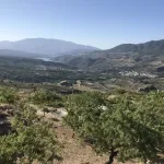 Finca de las Vistas 1