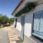 Finca de las Vistas 4