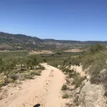 Finca de las Vistas 10