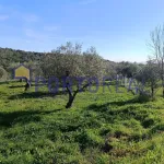 Armazém/arrecadação - Alfandega Fé 1