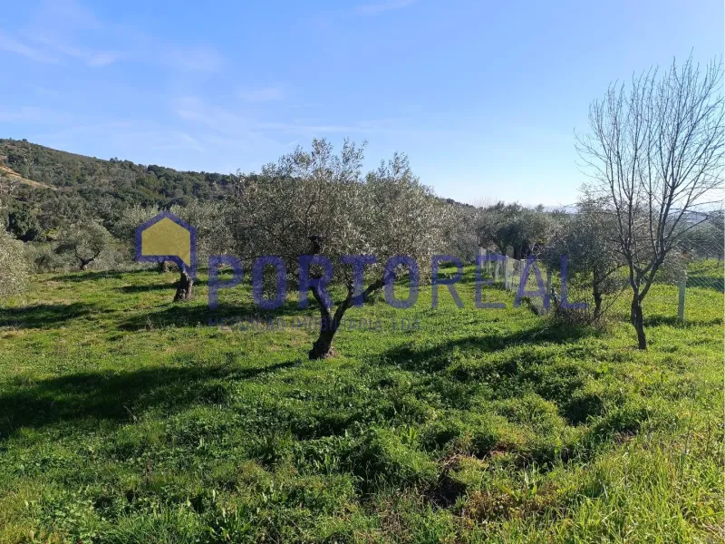 Armazém/arrecadação - Alfandega Fé