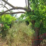 Terreno Urbano com 674.00 m2, com possibilidade de destaque 6