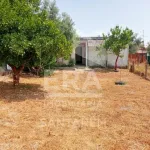 Moradia com Anexos, Quintal e Vista Panorâmica 19