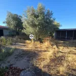 Terreno para Venda, Tinalhas, Castelo Branco 2