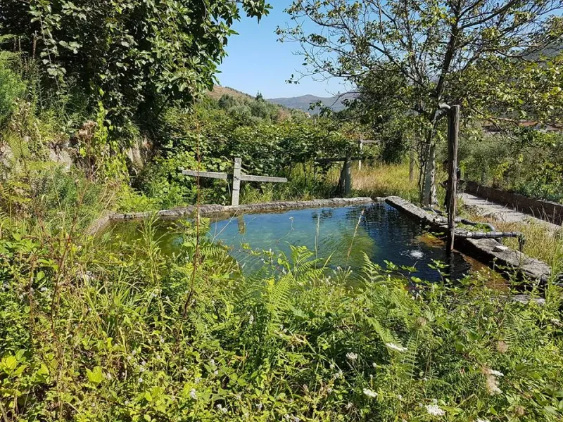 Terreno P/ Construção