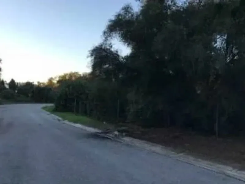 Solar Venta Sotogrande, San Roque