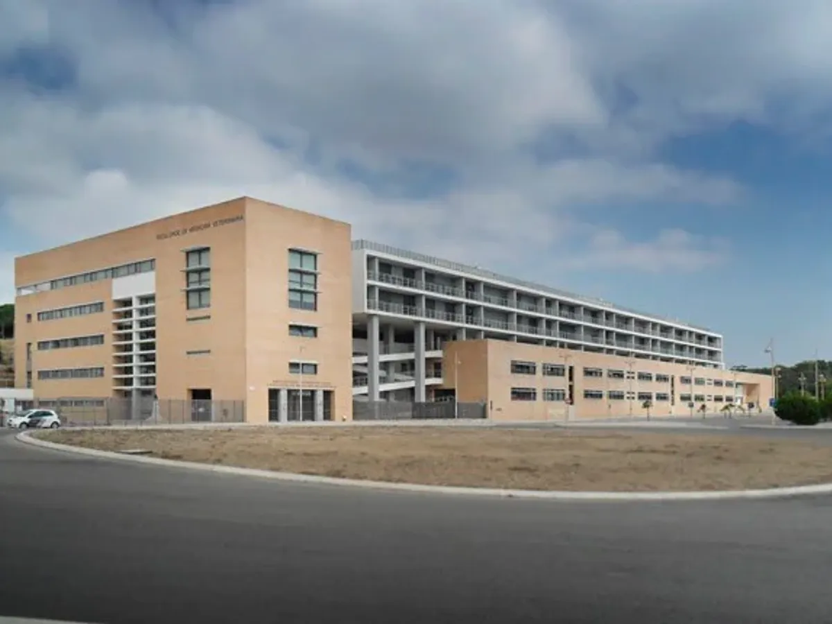 Terreno na Ajuda com Projeto - Pólo Universitário