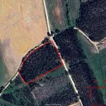 Terreno Rústico com Plantação de Eucaliptos 13