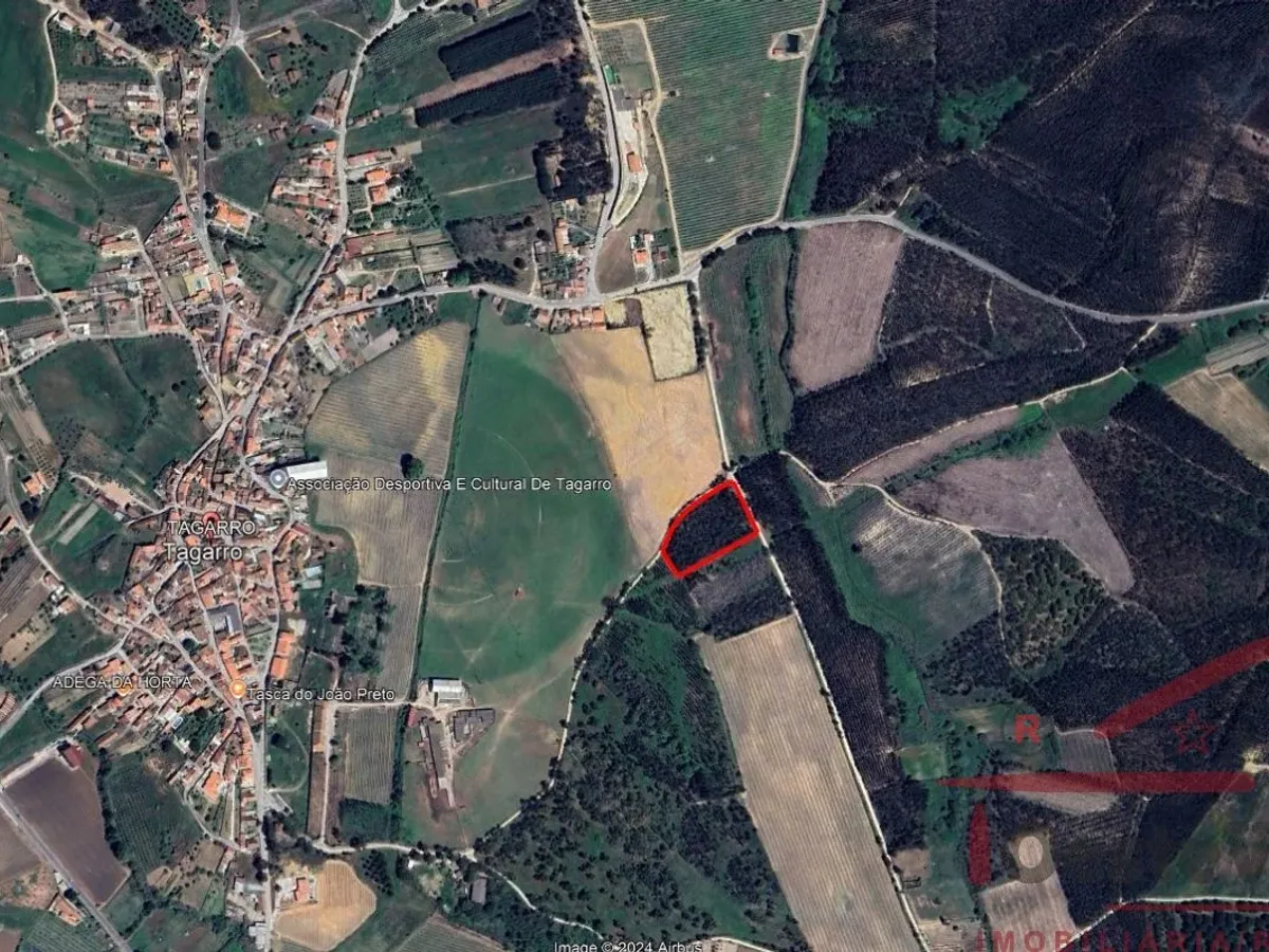 Terreno Rústico com Plantação de Eucaliptos