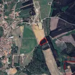 Terreno Rústico com Plantação de Eucaliptos 15