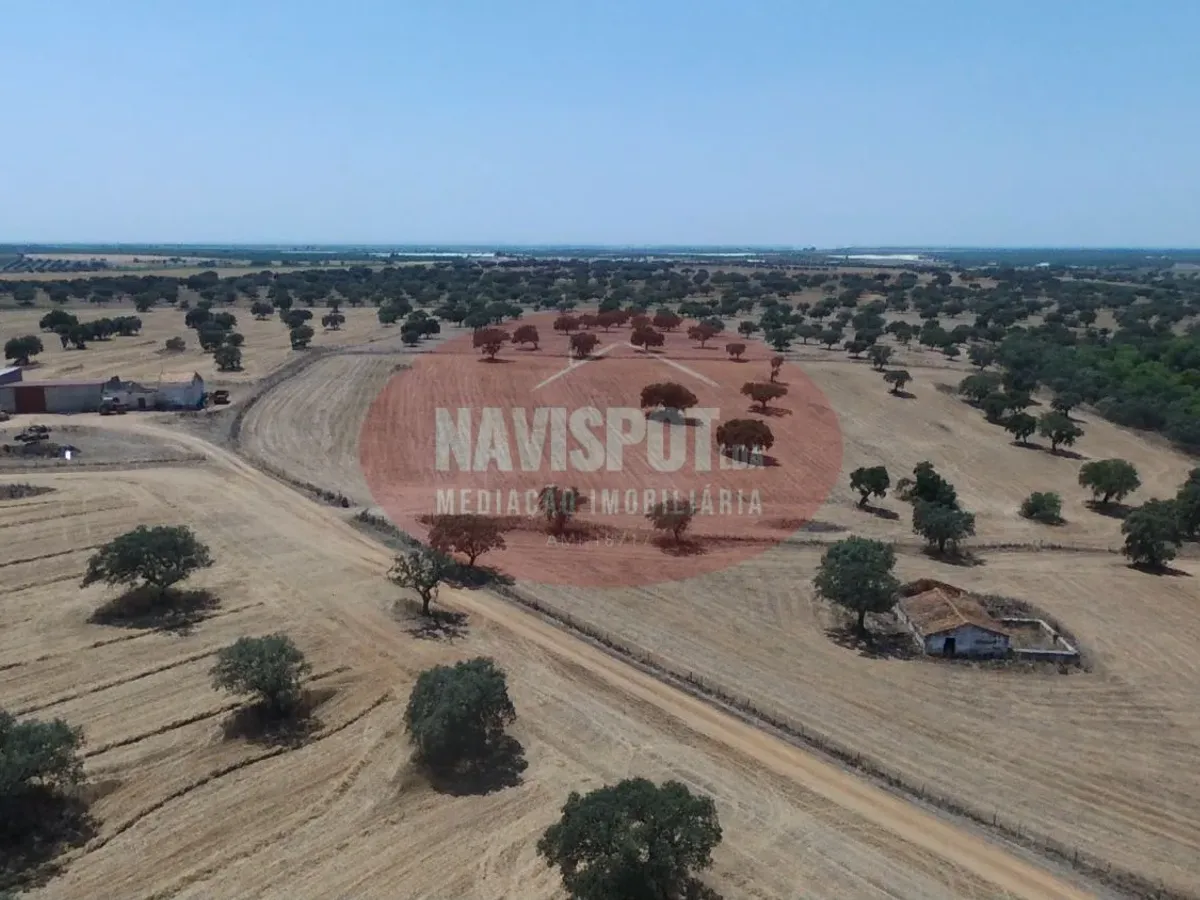 Herdade com 185 ha em Alfundão