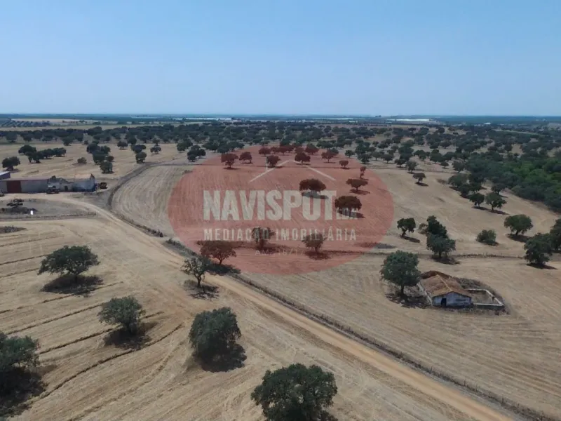 Herdade com 185 ha em Alfundão