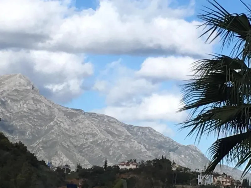 MIDDLE FLOOR APARTMENT