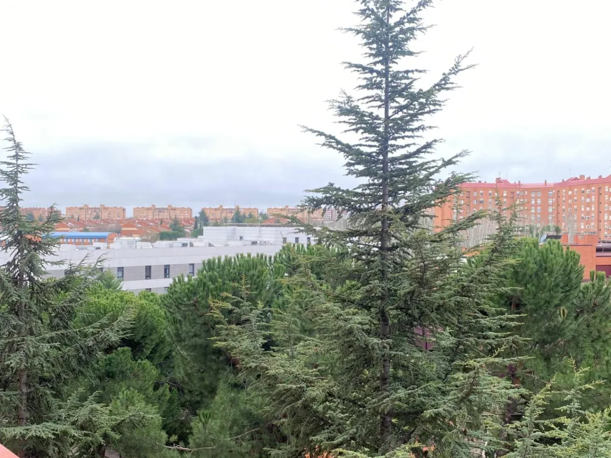 Piso en Tres Cantos situado en la zona de Primera Fase – Nuevo Tres Cantos