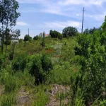 Terreno em Portela do Fojo-Machio 1