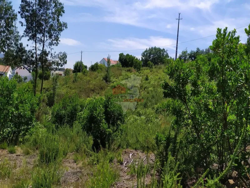 Terreno em Portela do Fojo-Machio